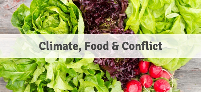 Climate, Food & Conflict Banner