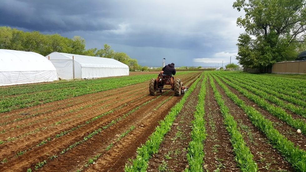 8f704c6e91e045c72378c71d940a59ce_xl