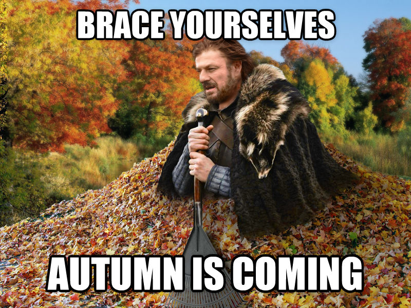 Leaf meme