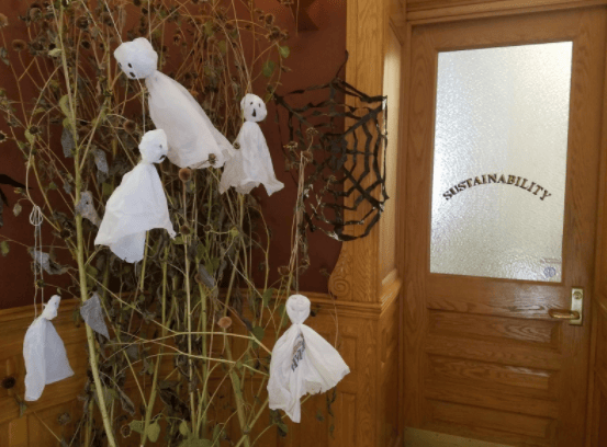 Sustainability Decorations- plastic bag ghosts, trash bag spider webs, sunflowers.