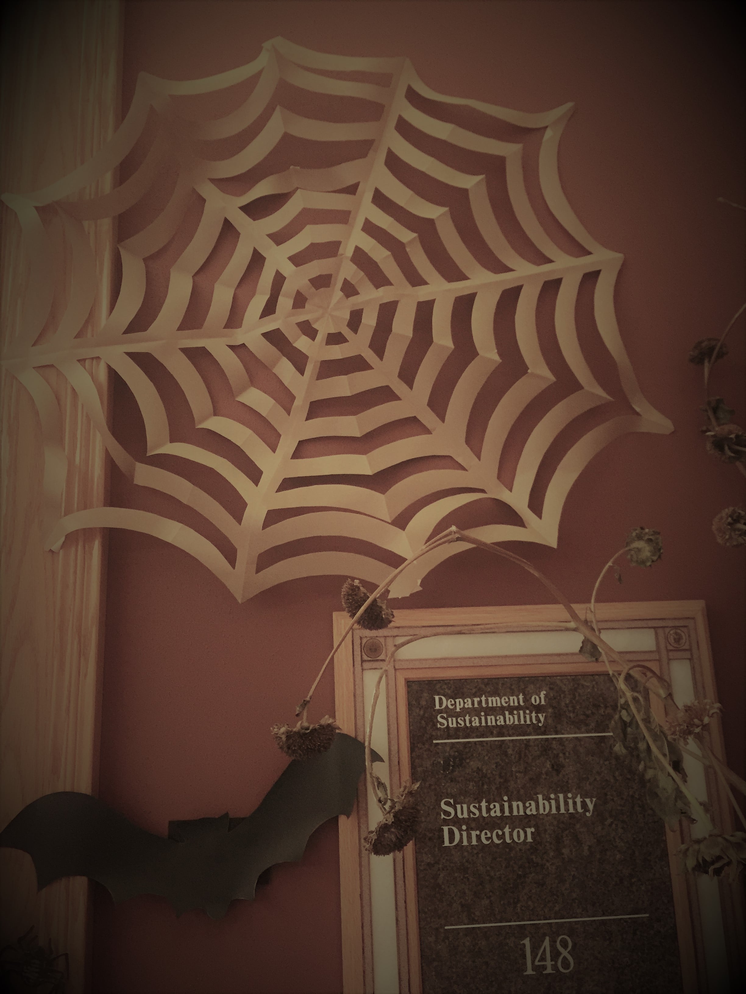 Craft paper spider web and bats.