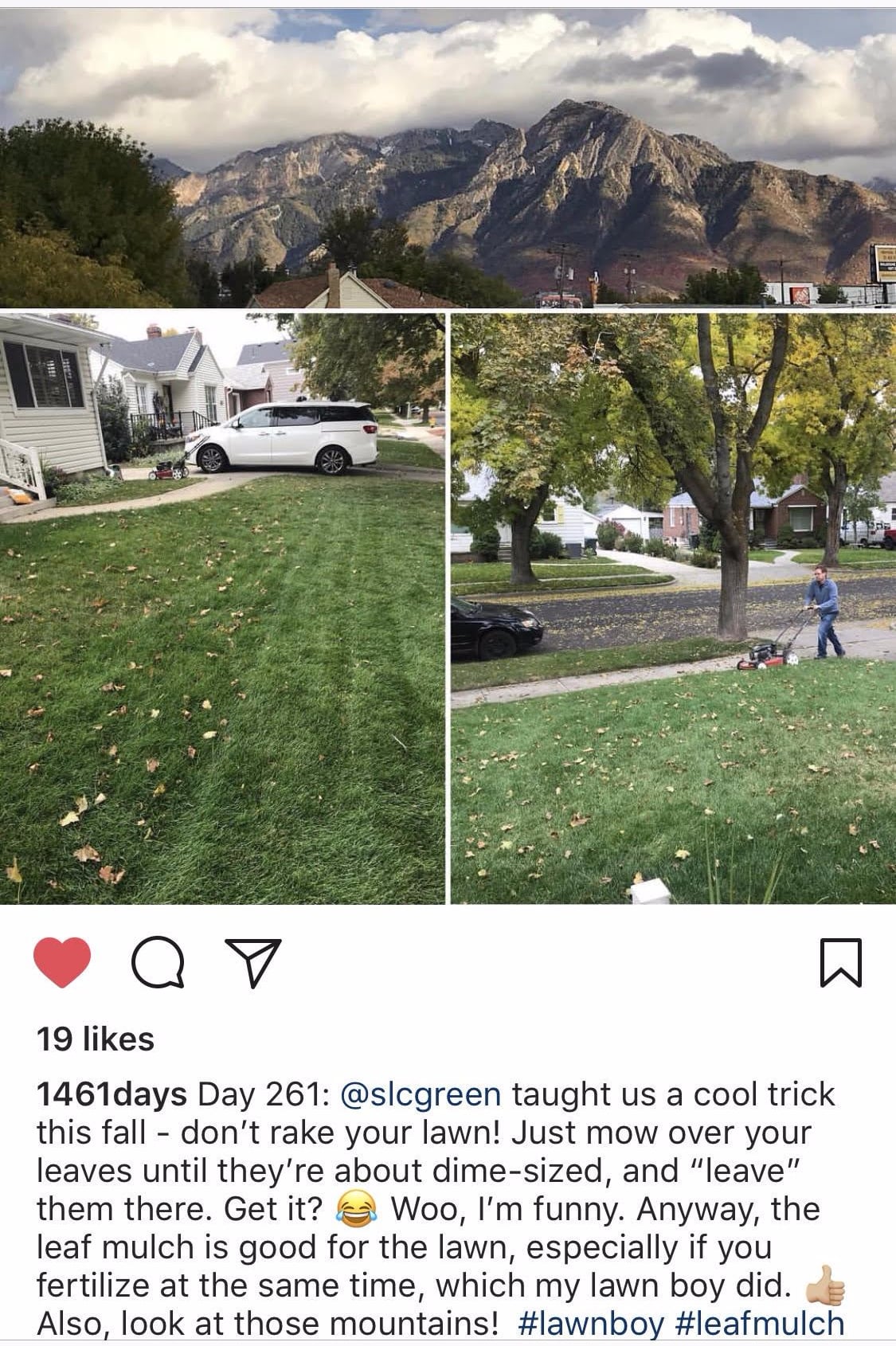 Lawn with mulched leaves