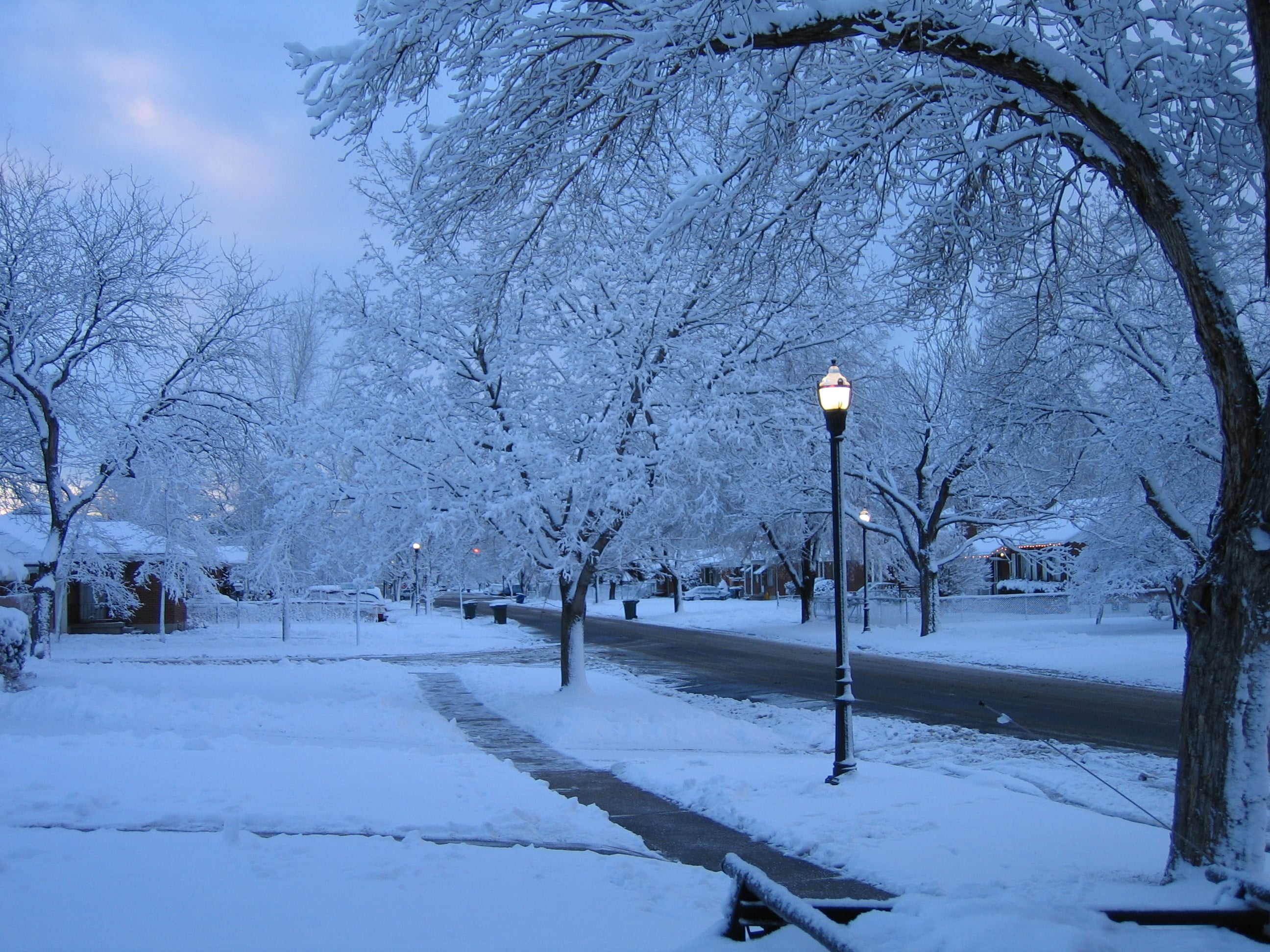 RoseParkStreets Winter