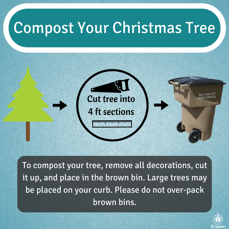 Tree Compost_2017