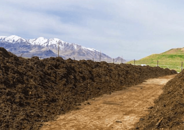 Piles of Compost