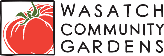 WSG_logo