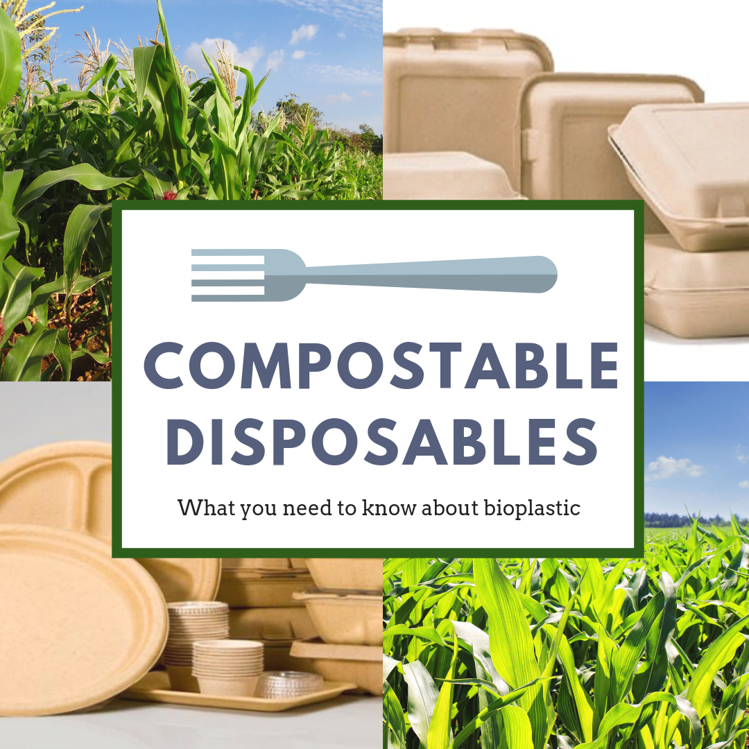 compostable disposables (1)