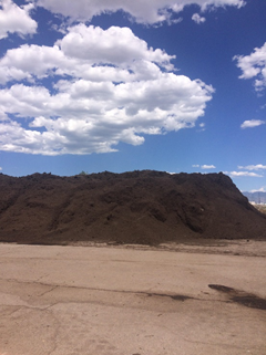 Fresh compost