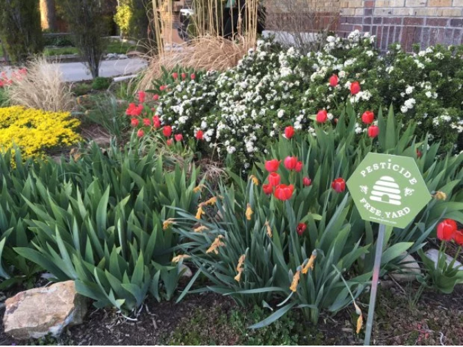 Pesticide free yard sign in beautiful garden.