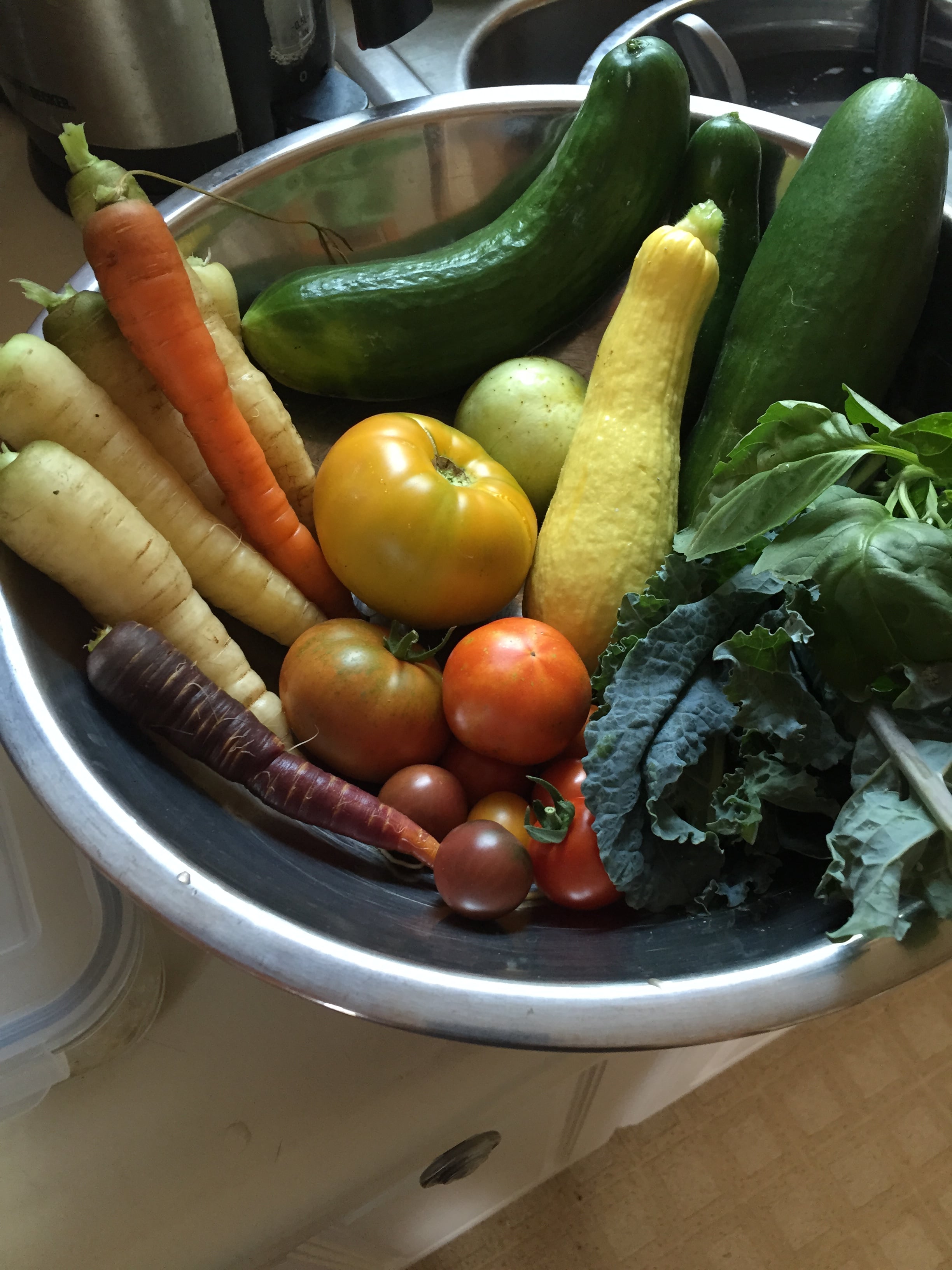 Photograph of a bowl of fresh homegrown veggies including carrots, squash, zucchini, cucumber, tomatoes, and greens.
