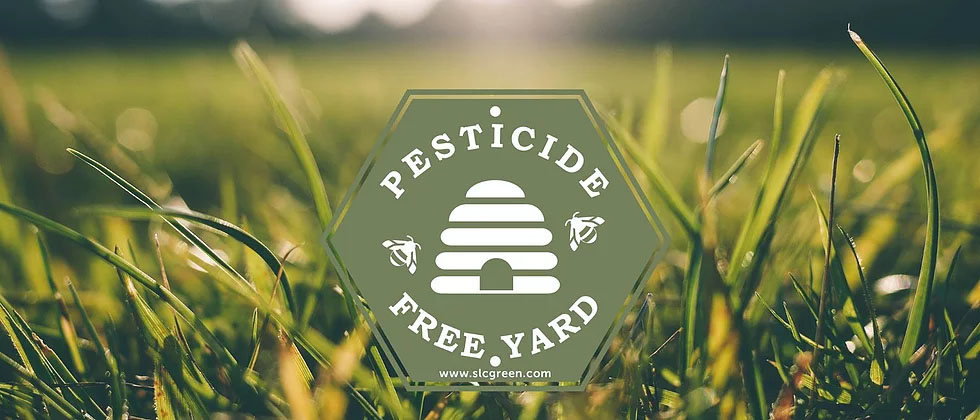 Image of grassy lawn with sage green hexagonal Pesticide Free Yard sign.