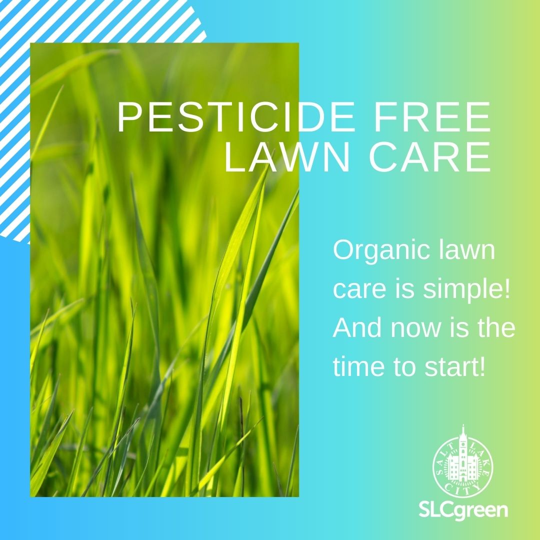 Graphic includes a photo of bright green grass on a teal, green, and chartreuse, backdrop. Text in white reads "Pesticide Free Lawn Care Organic lawn care is simple! And now is the time to start!" with the SLCgreen logo.