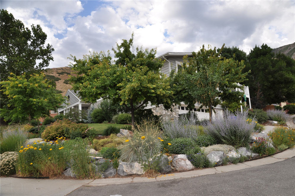 Photo of house with many shade trees and water-wise plants.