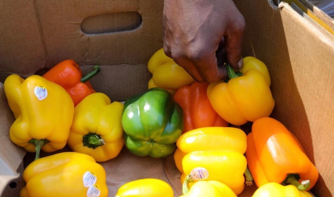 hand reaching into box of bell peppers